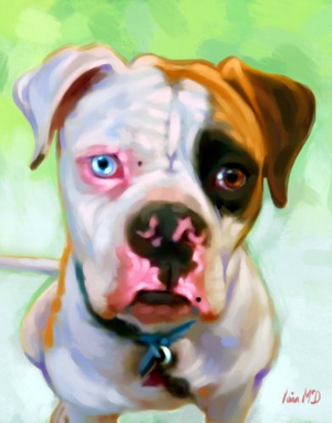 American Bulldog Painting