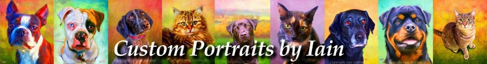 Pet Portraits Dog & Cat Art By Iain McDonald