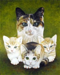 Click for larger cat portrait